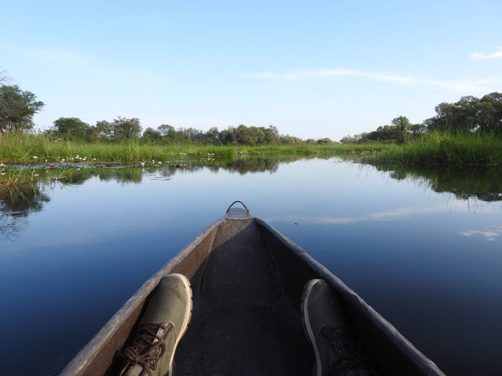 Safari &Beyond Okavango Delta